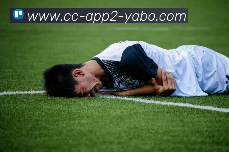 亚博体育全站App